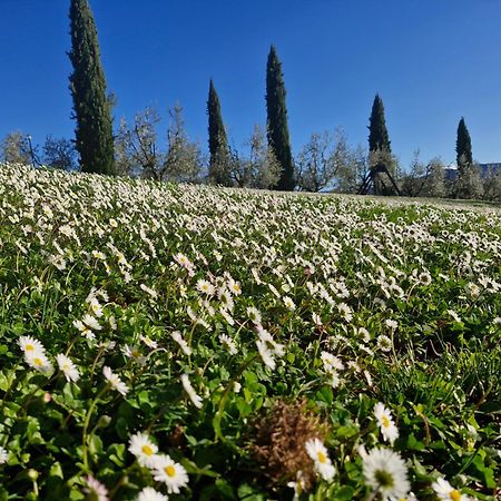 Agriturismo Val Della Pieve Anghiari Extérieur photo