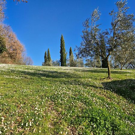 Agriturismo Val Della Pieve Anghiari Extérieur photo