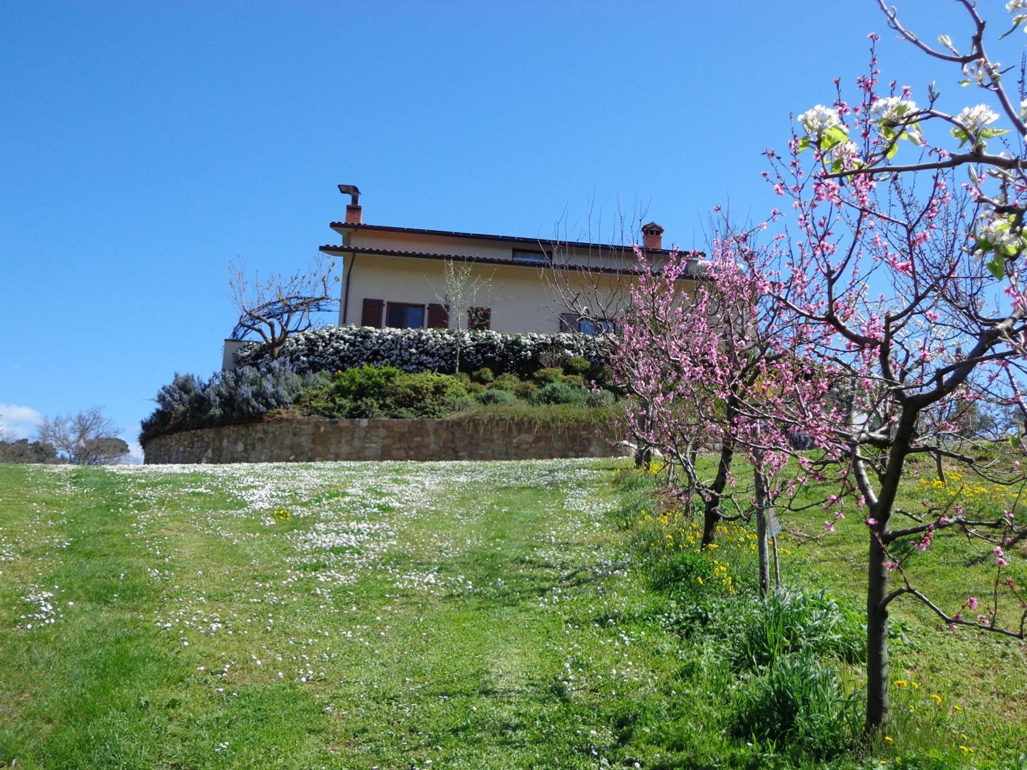 Agriturismo Val Della Pieve Anghiari Extérieur photo