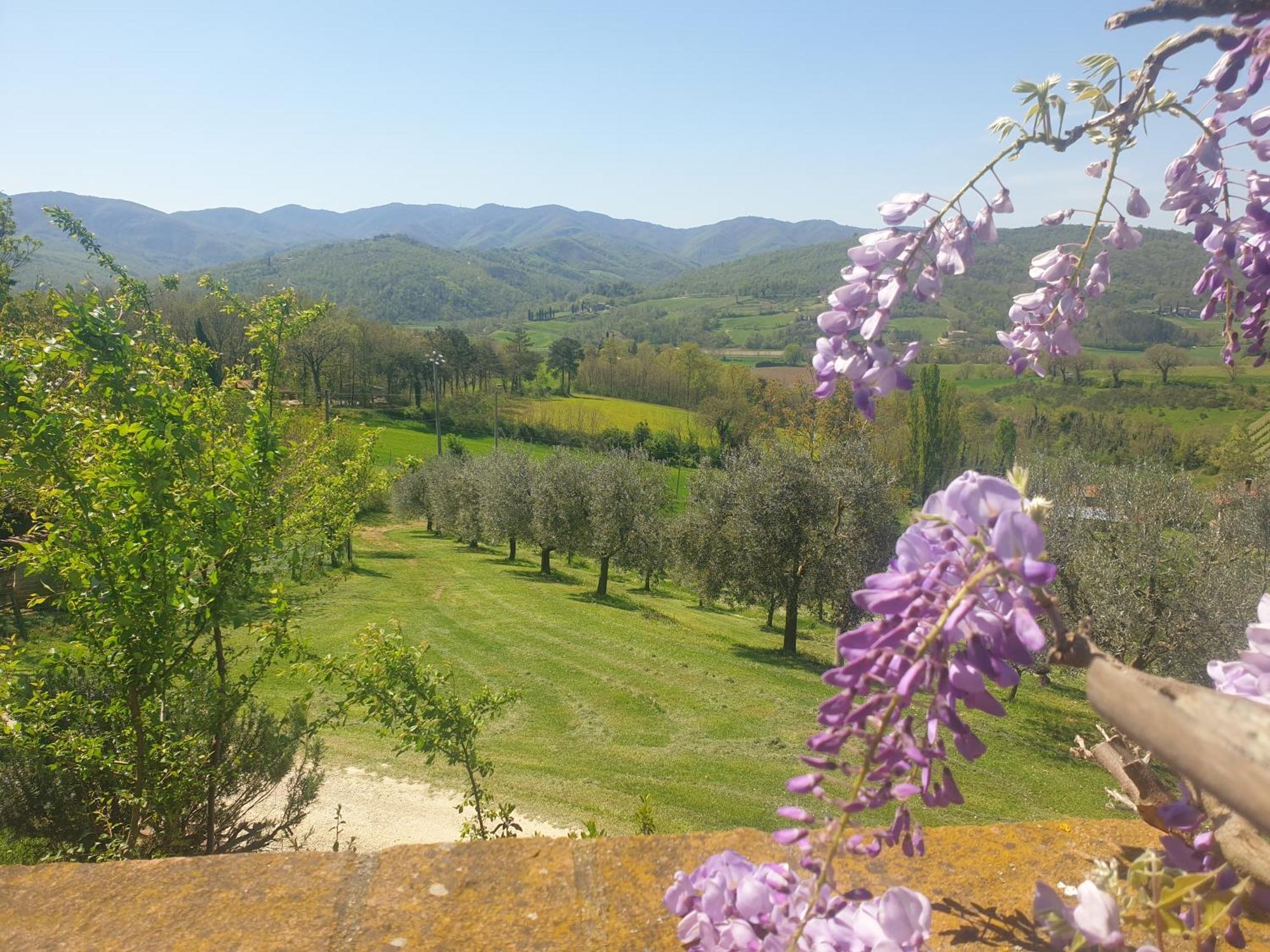Agriturismo Val Della Pieve Anghiari Extérieur photo