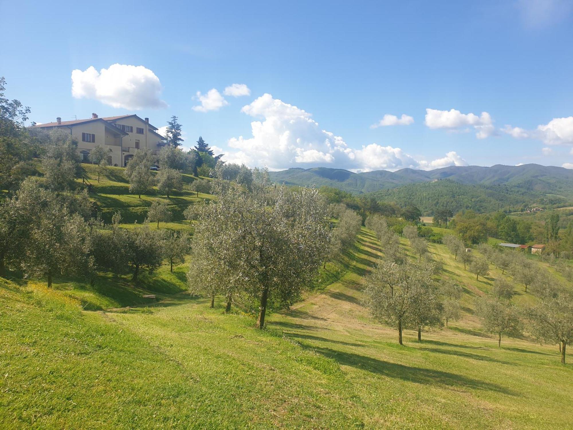 Agriturismo Val Della Pieve Anghiari Extérieur photo