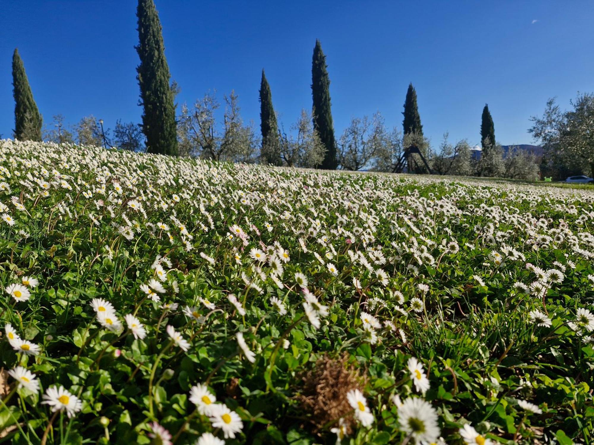 Agriturismo Val Della Pieve Anghiari Extérieur photo