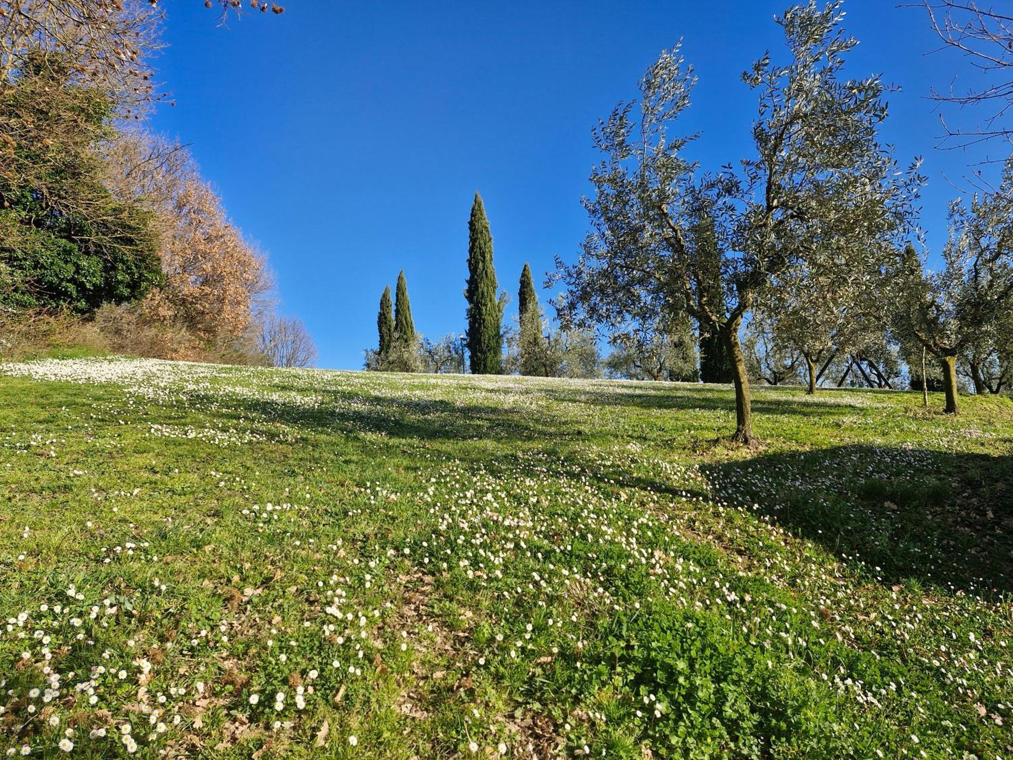 Agriturismo Val Della Pieve Anghiari Extérieur photo